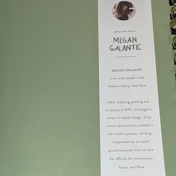 Megan Galante non-dated monthly planner-12 month-pocket & tab-divider-152 pg-NWT - Picture 7 of 12